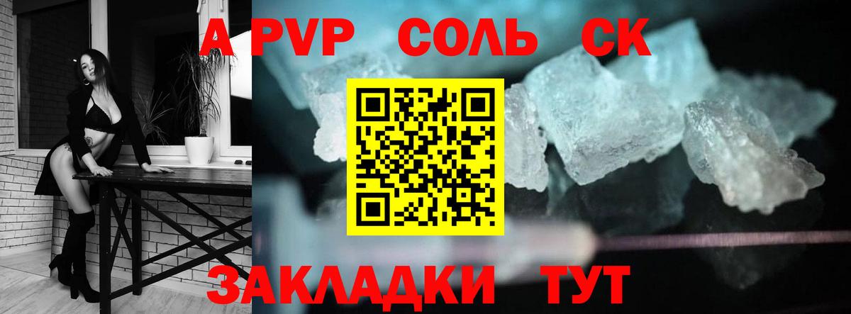 Альфа ПВП СК Гатчина