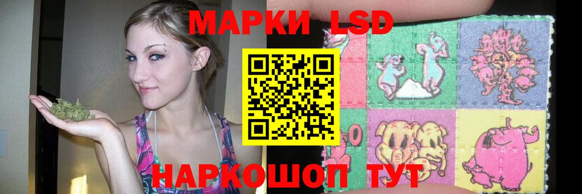 LSD-25 экстази кислота  Вход с VPN  LSD-25 экстази  Гатчина 
