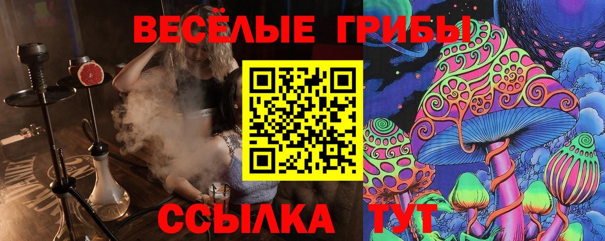 Псилоцибиновые грибы мухоморы  Галлюциногенные грибы Magic Shrooms  Гатчина  Вход с VPN 