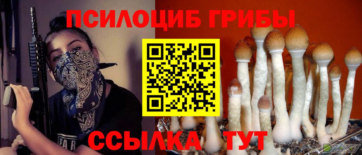 Галлюциногенные грибы ЛСД Гатчина